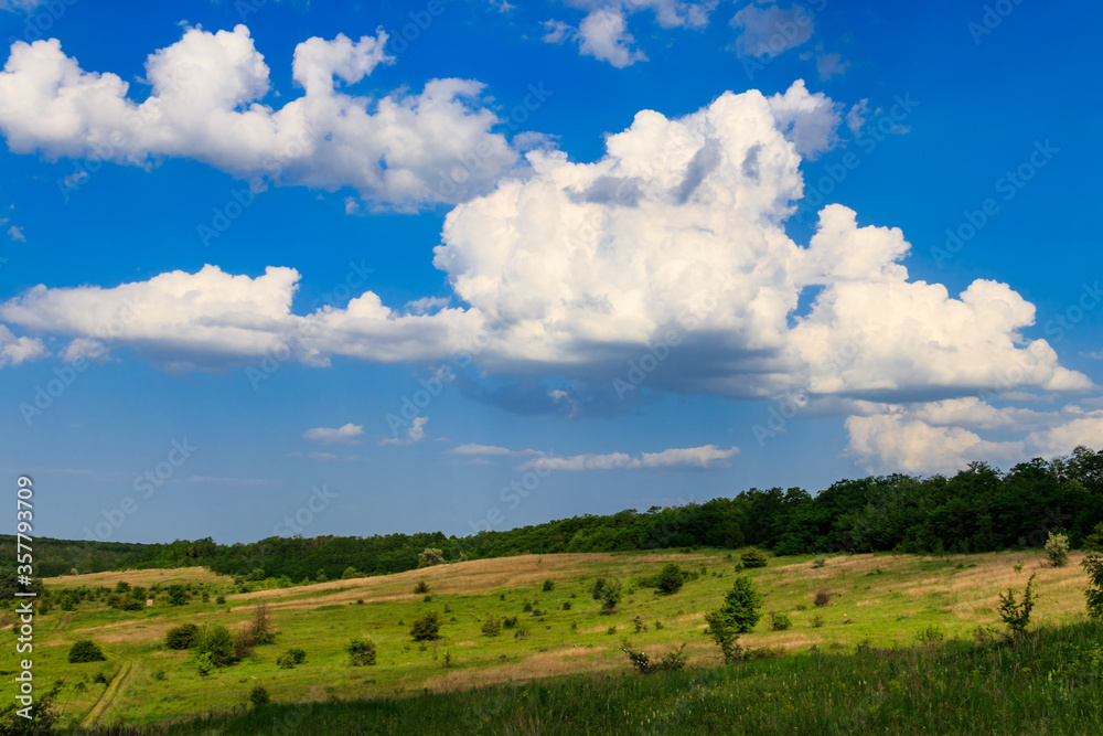 Spring landscape with green trees, meadows, fields and blue sky