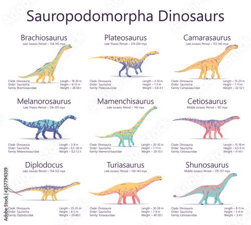 Fototapeta Naklejka Na Ścianę i Meble -  Sauropodomorpha dinosaurs. Colorful vector illustration of dinosaurs isolated on white background. Set of ancient creatures with information of size, weigh, classification and period of living.