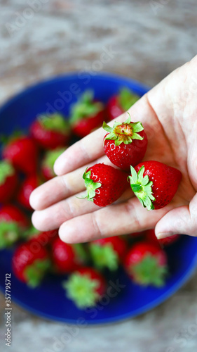 Selective focus. Macro. Strawberry berry in the hand. A piece of strawberry. Close-up. Ripe juicy strawberries.