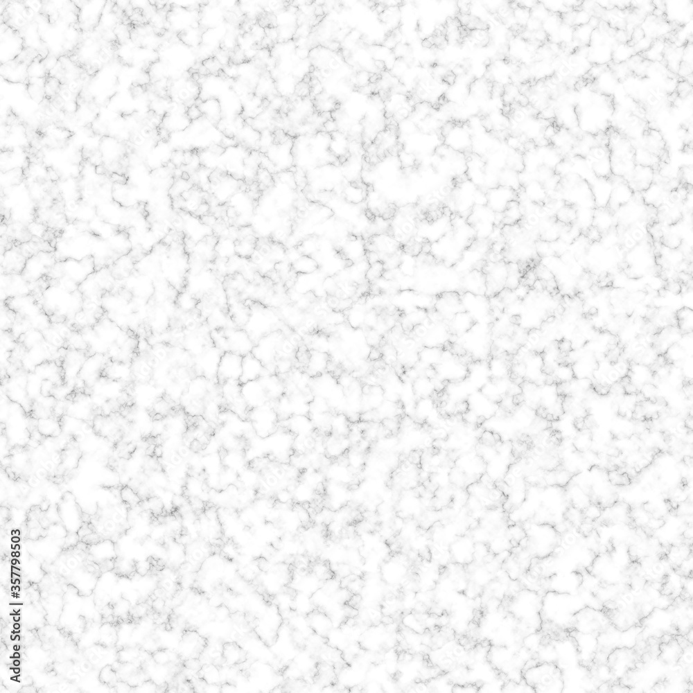 White Marble Texture White Marble Texture