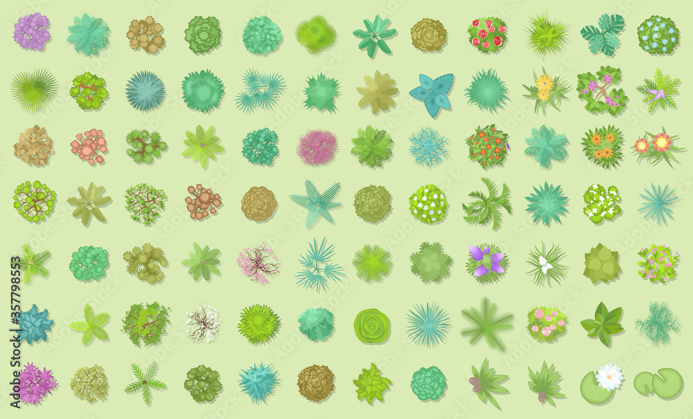 Vector set. Trees top view. Different plants and trees vector set for architectural or landscape design. (View from above) Nature green spaces. Vector set. Trees top view. Different plants and trees vector set for architectural or landscape design. (View from above) Nature green spaces.