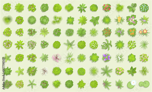 Vector set. Trees top view. Different plants and trees vector set for architectural or landscape design. (View from above) Nature green spaces.