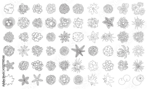 Linear vector set. Trees top view. Different plants and trees vector set for architectural or landscape design. (View from above) Nature green spaces.
