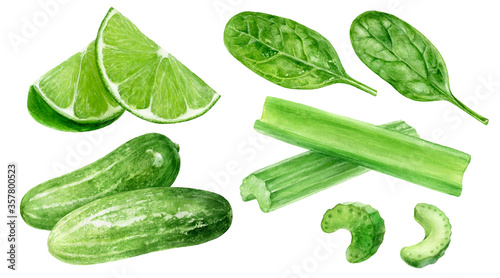 Set of frech celery with lime, spinach, cucumber watercolor illustration isolated on whitre background photo