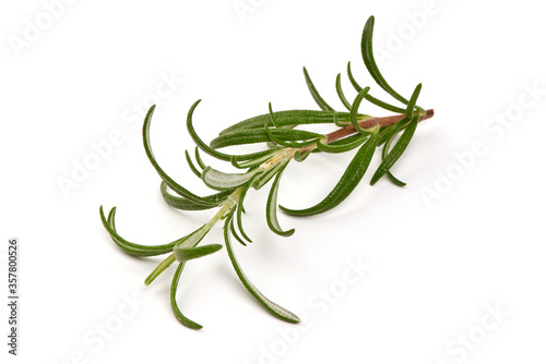 Twig of Rosemary, isolated on white background