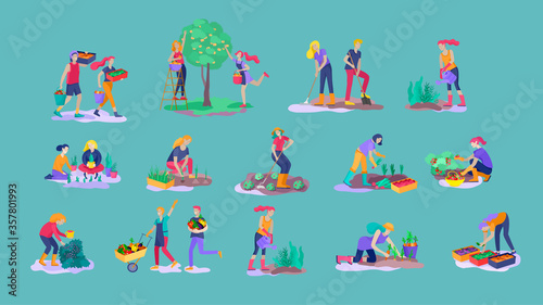 Harvesting and gardening people doing farming and garden job, pick berries, remove weeds, watering, planting, growing and transplant sprouts, lay ripe vegetables to box. Reaping crop