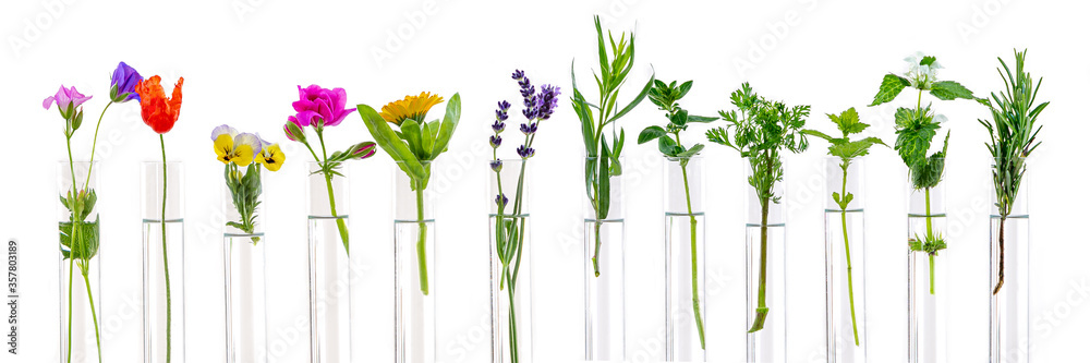 Tubes For Stem Flowers