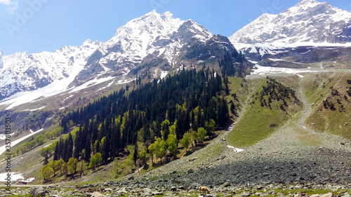 Canvas Print Sonagar at Kashmir