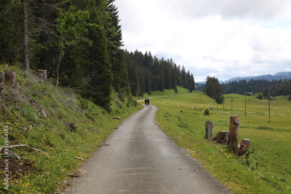A couple of lovers walk on a road of the swiss Jura A couple of lovers walk on a road of the swiss Jura