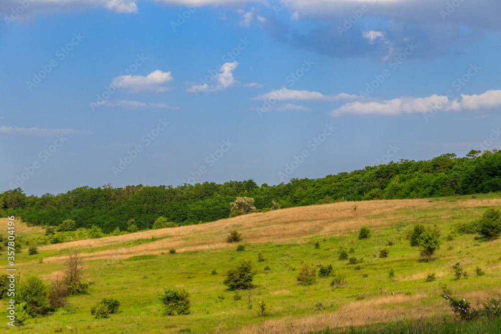 Spring landscape with green trees, meadows, fields and blue sky