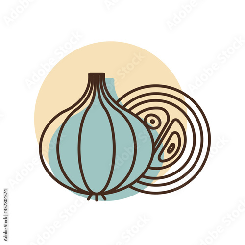 Onion vector icon. Vegetable symbol
