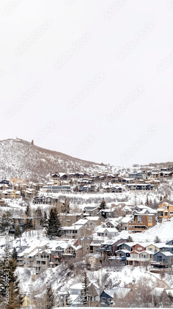 Vertical frame Park City Utah mountainscape with homes on a snowy neighborhood in winter