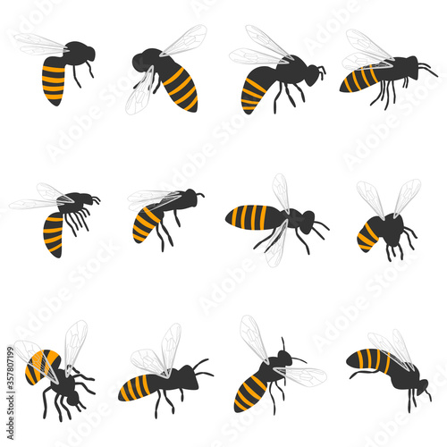 Bee vector cartoon set isolated on a white background. © Roi_and_Roi