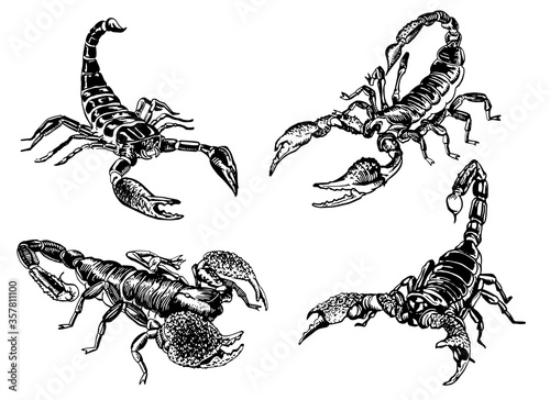 Graphical hand-drawn set of scorpions isolated on white background,vector  illustration for tattoo ,design and printing