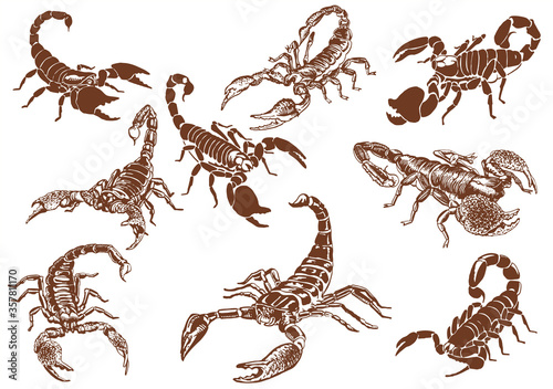 Graphical vintage set of   scorpions ,vector  illustration for tattoo ,design and printing