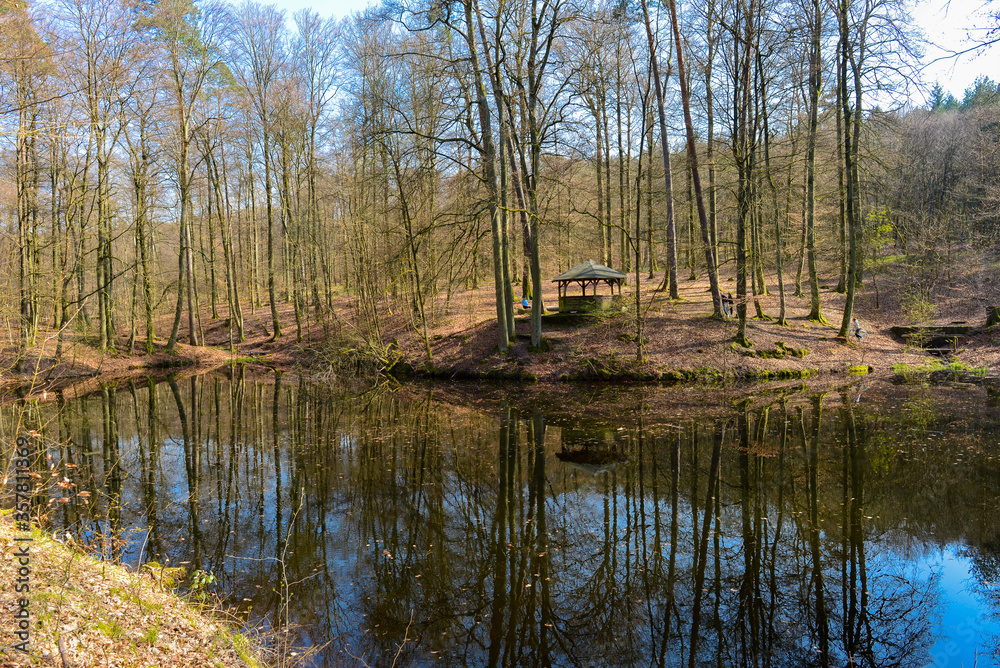 Waldsee an der Barbarossaquelle im Vorspessart Main-Kinzig-Kreis / Hessen Waldsee an der Barbarossaquelle im Vorspessart Main-Kinzig-Kreis / Hessen