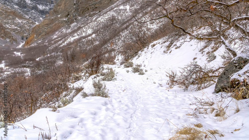 Panorama Snow covering the rocky slope of Provo Canyon mountain during winter in Utah Panorama Snow covering the rocky slope of Provo Canyon mountain during winter in Utah