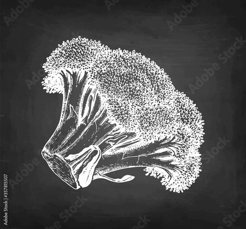 Chalk sketch of broccoli.