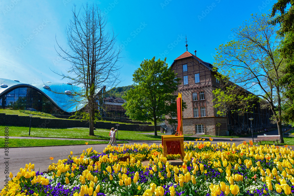 Frühling im Kurpark Bad Orb - Hessen	