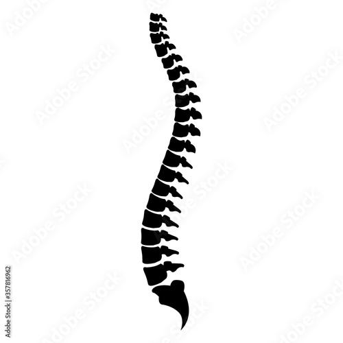 Spine cord vector icon illustration isolated on white background