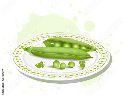 green pea with pea beans vector illustration