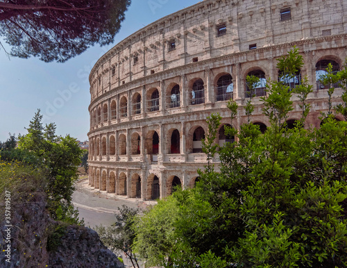 Rome Italy, partial view of the Colosseum ancient amphitheater and pine foliage under clear blue sky