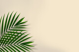 top view of tropical palm leaf on brown color background. minimal summer concept. flat lay