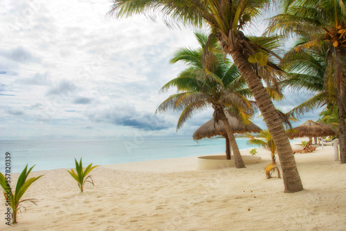 beautiful caribbean beach with palm trees without people © Fernando