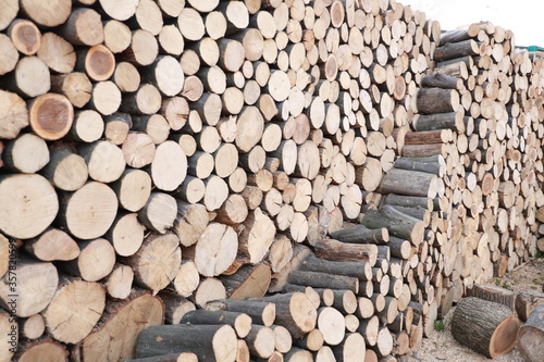 Cross section of the timber  firewood stack for the background. A lot of cutted logs. Stack of sawn logs. Natural wooden decor background. Pile of chopped fire wood prepared for winter.