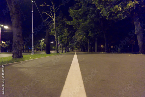 road in the park