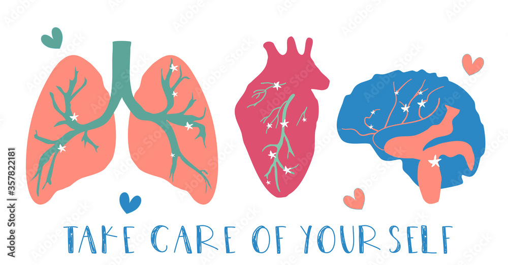Hand drawn cute cartoon style viscera. Lungs, heart and brain. Take care of your health and yourself. Vector illustration of human anatomy.  Internal organs like plants bloom