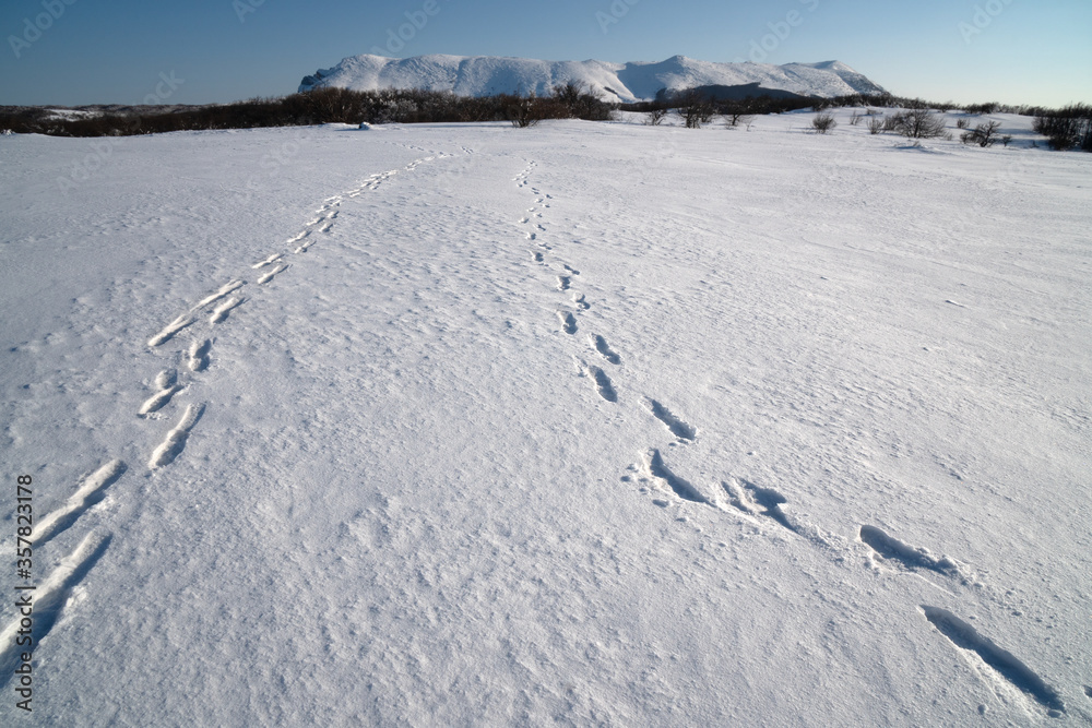 footprints on the snow field