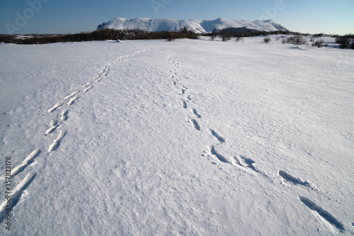 footprints on the snow field © ELENA