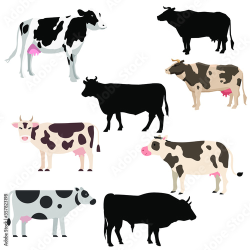 Collection of the various vector of cows isolated on white background