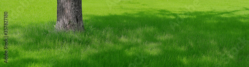 green grass field panorama