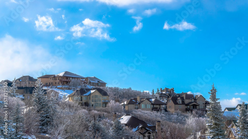 Panorama crop Wasatch Mountains winter scenery of houses amid evergreens and snowy terrain