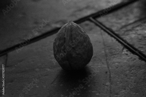 walnut in black and white