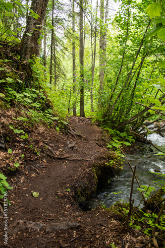 South Fork Falls trail runs right on the edge of the river
