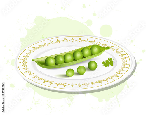 fresh green pea beans vector illustration 