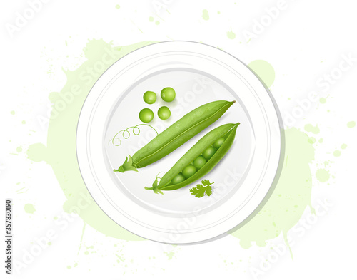 Fresh green peas vector illustration from top angle