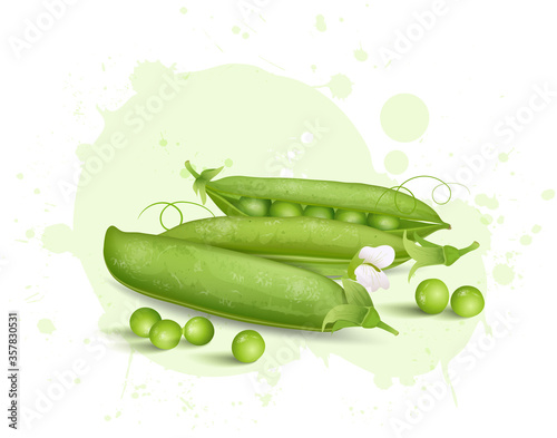 vector illustration of fresh green peas vector illustration on light green background