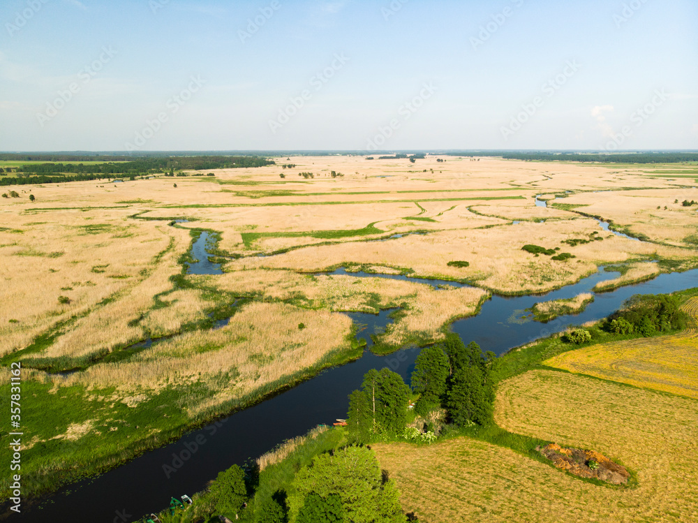 Narew Podlasie Podlaskie Narwiański Park Narodowy  Rzeka woda trzcina łąka pole wieś widok z drona - obrazy, fototapety, plakaty 