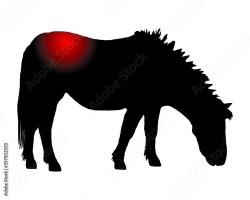 Pony mit Schmerzen im Rücken