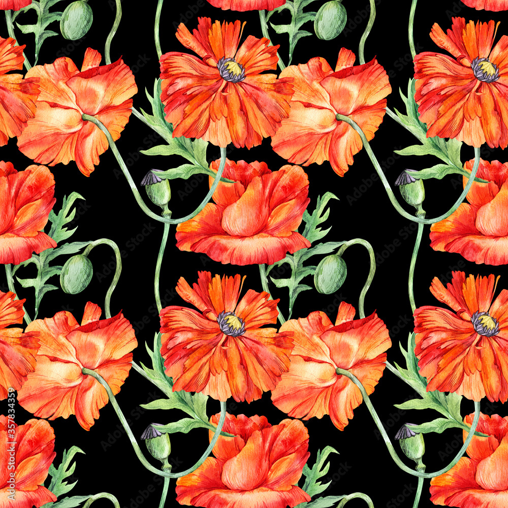 Watercolor seamless pattern with orange red poppy, hand drawn poppies illustration, botanical painting isolated on a black background, floral, stock illustration. Fabric wallpaper print texture.