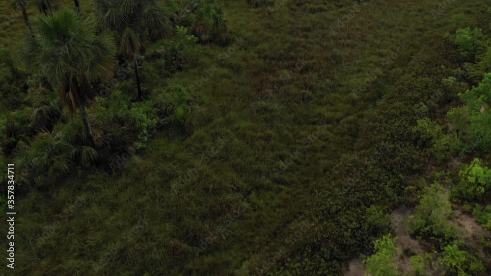 an aerial view of tocantins in brazil an aerial view of tocantins in brazil
