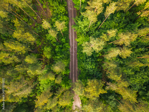 Road in the forest seen from the air