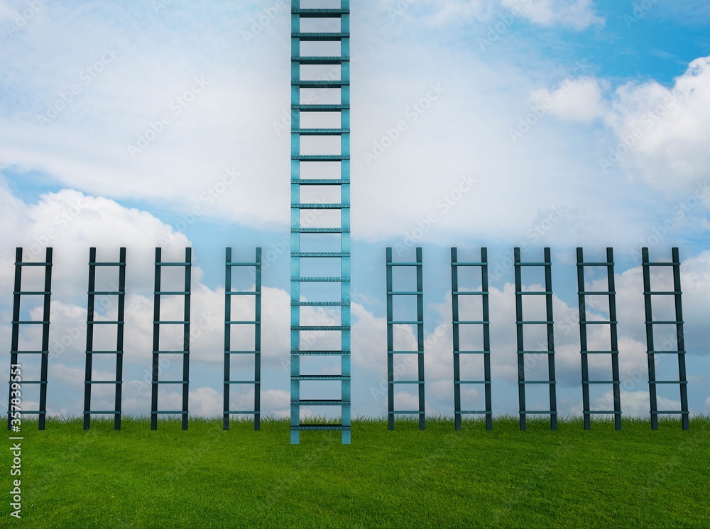 Fototapeta premium Different ladders in career progression concept