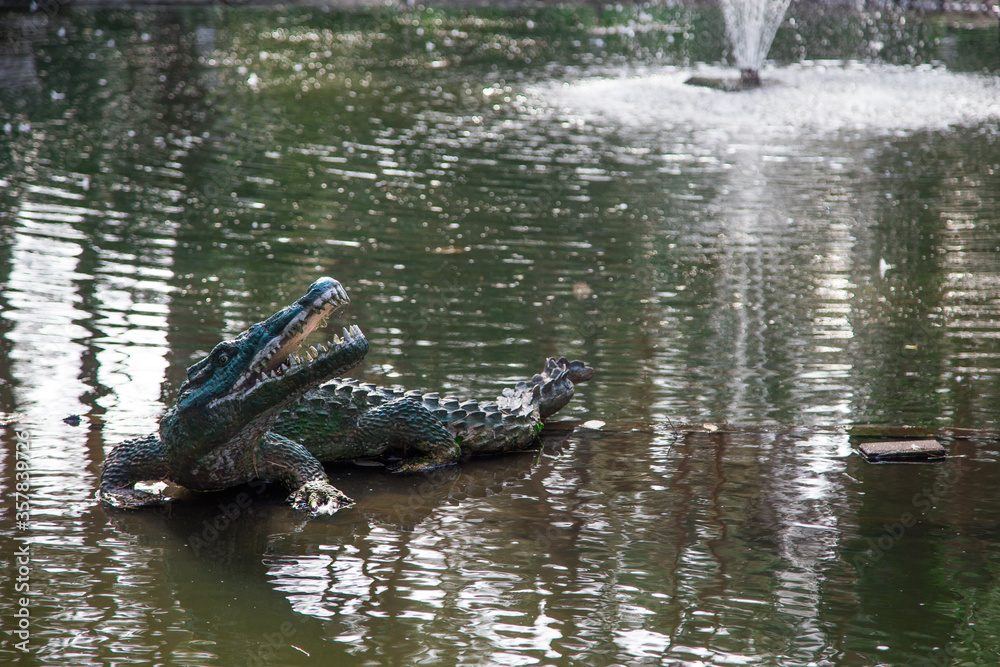 Fototapeta premium alligator in a pond
