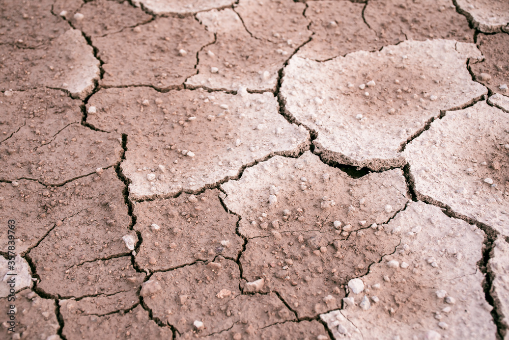 Fototapeta premium Ground dried and cracked background, drought disaster in summer season, Global warming crisis concept