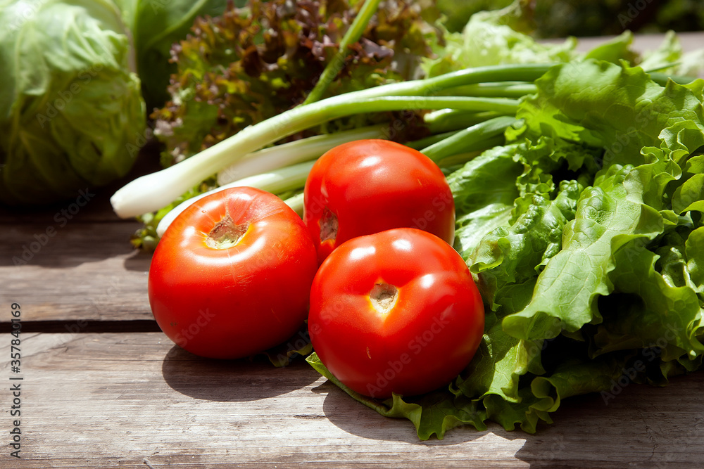 
Healthy eating Fresh farm vegetables tomatoes, cucumbers, salad lola rossaa and lola bianca, green onions, cabbage. Non-GMO Organic Vegetables, 100% Vegan Vegetarian Slimming Diet Wooden Background